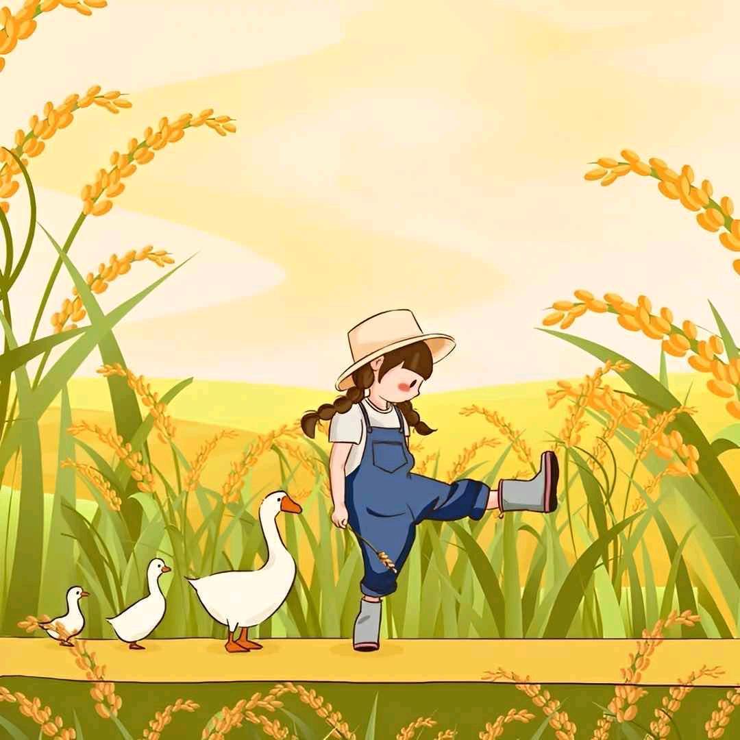 🐝💞🍀Οo邡飛懜葙оΟ