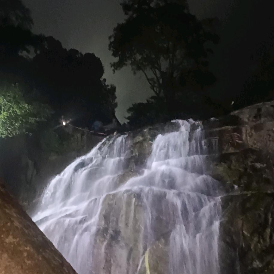 十点七雷击木