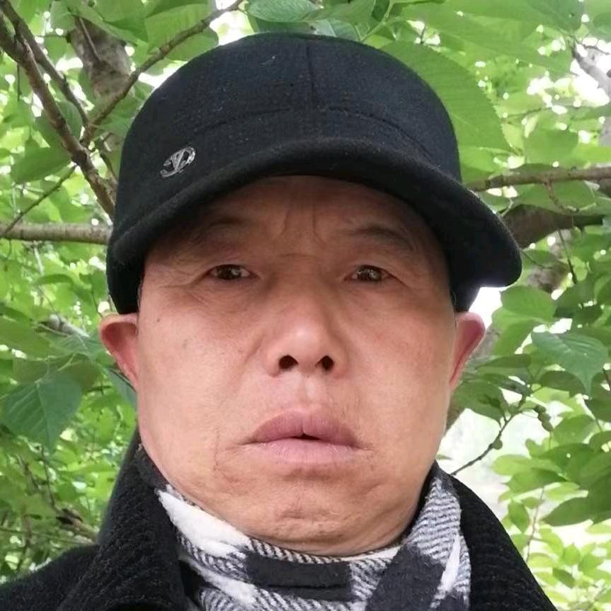 随缘无悔（马）