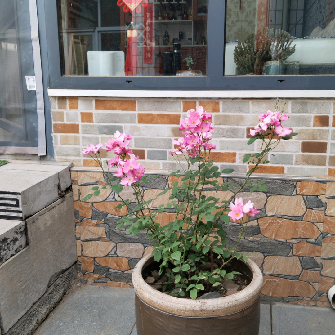 赵丽华