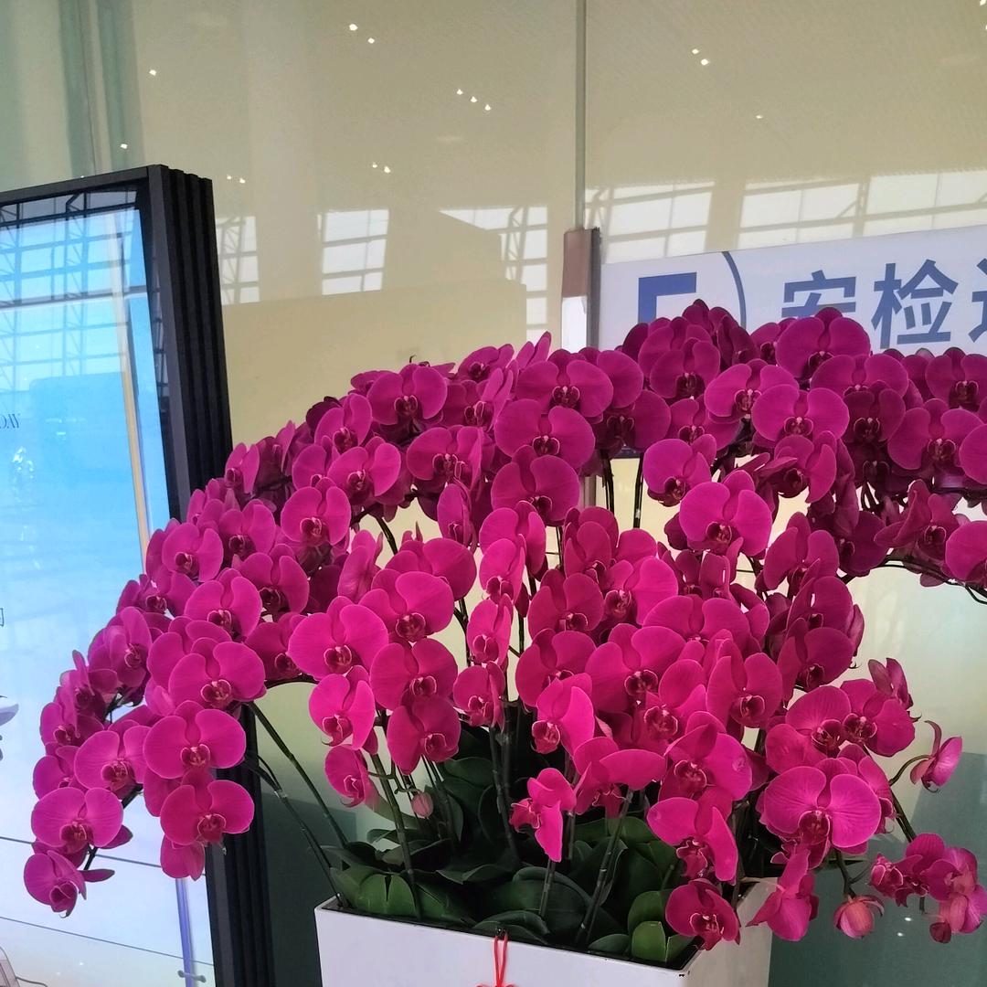 随意
