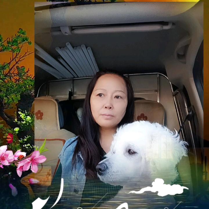 你在他乡还好吗