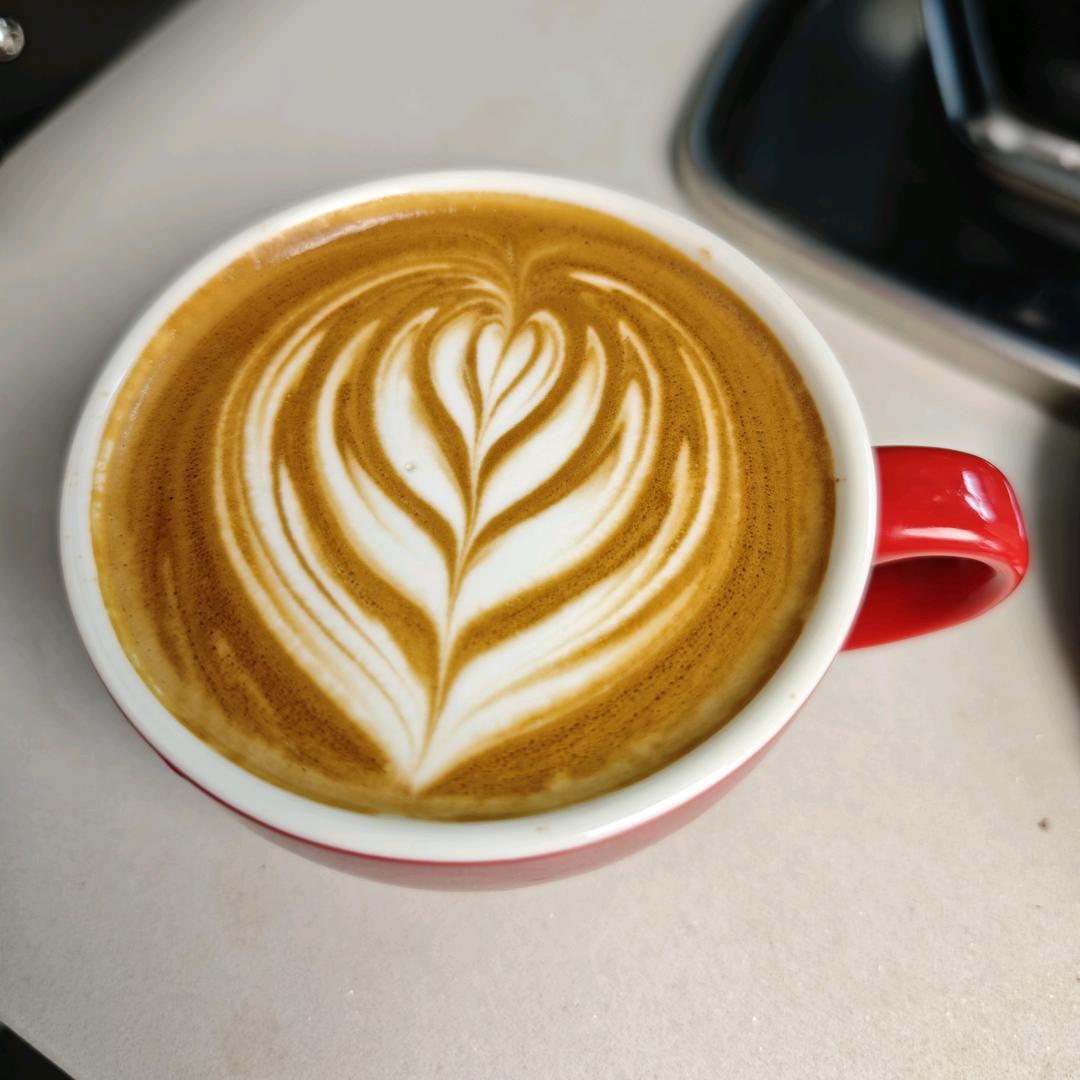 醒醒今天喝什么