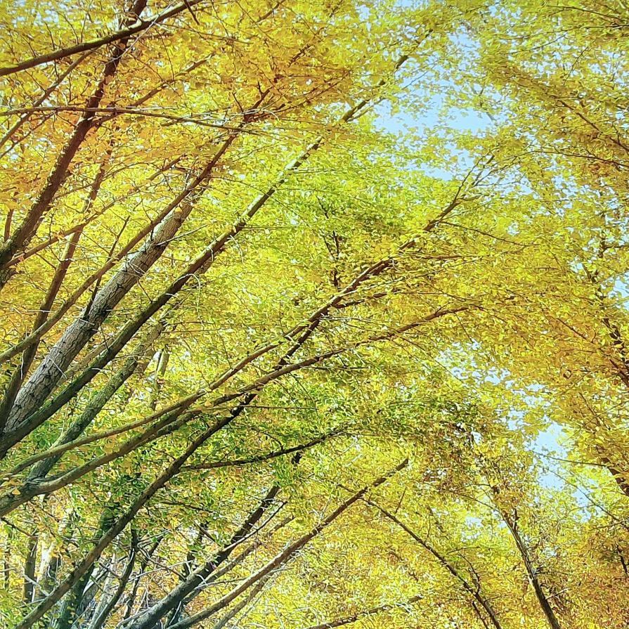 未来“靠”自己