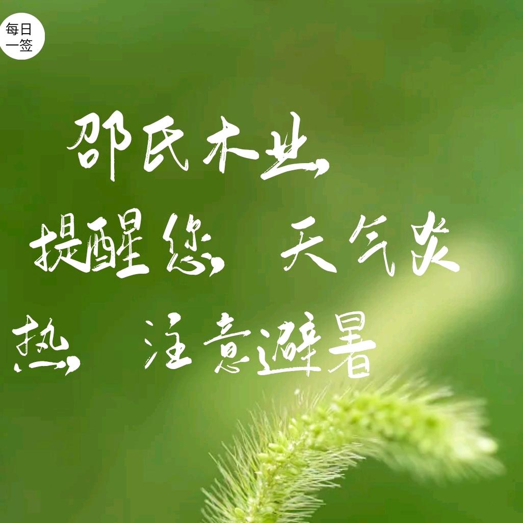 遵义桐梓工厂店