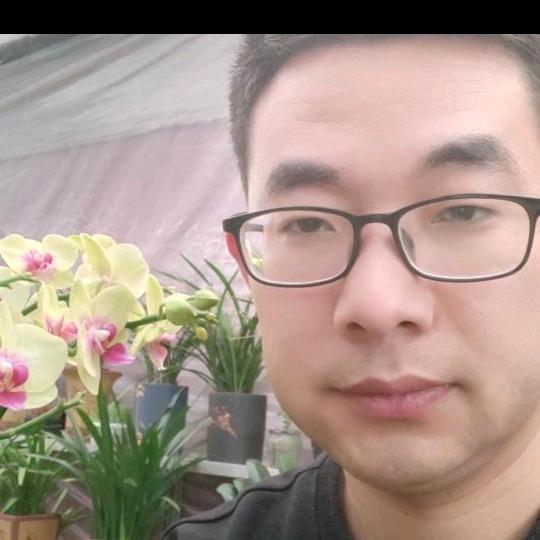 晨露（晚20.10首播）