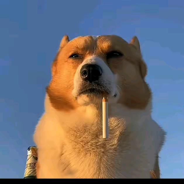 小 卡拉咪