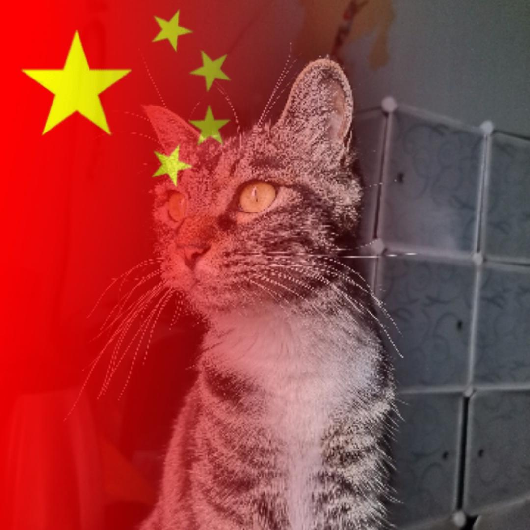 一生如梦_97906