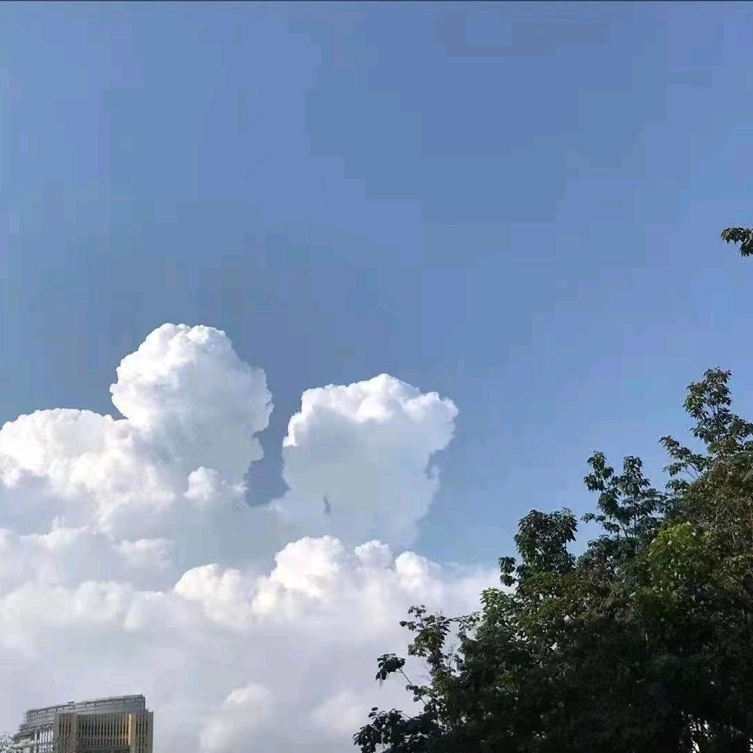 感恩遇见 感谢有你