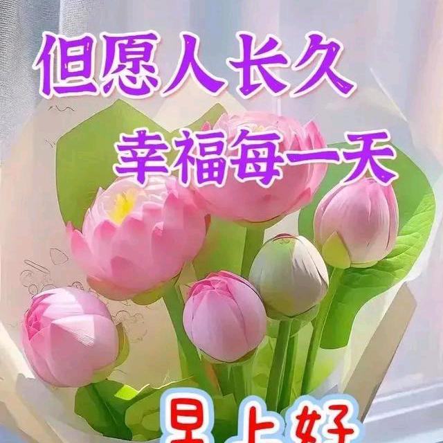 太阳当空赵