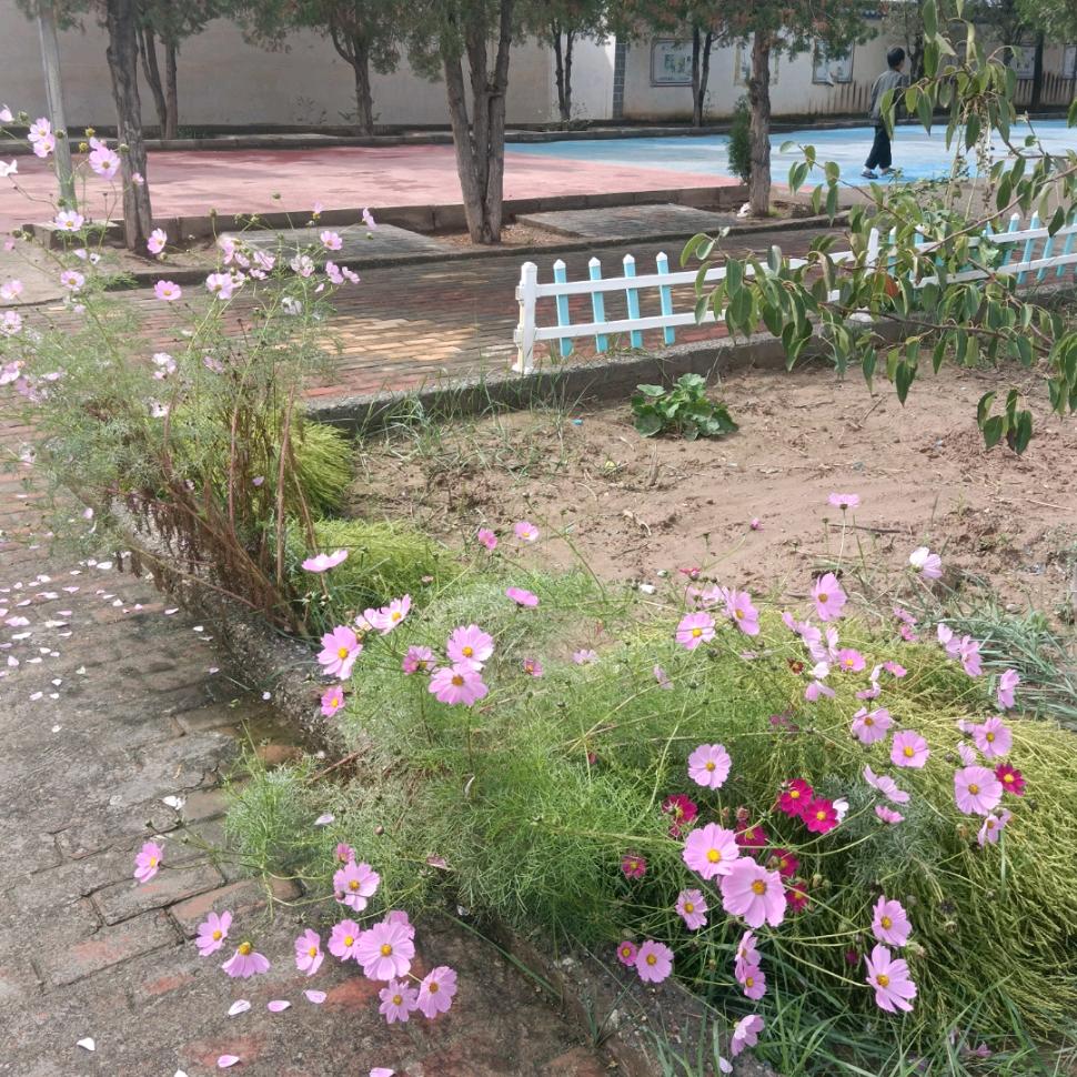 乡村大婶