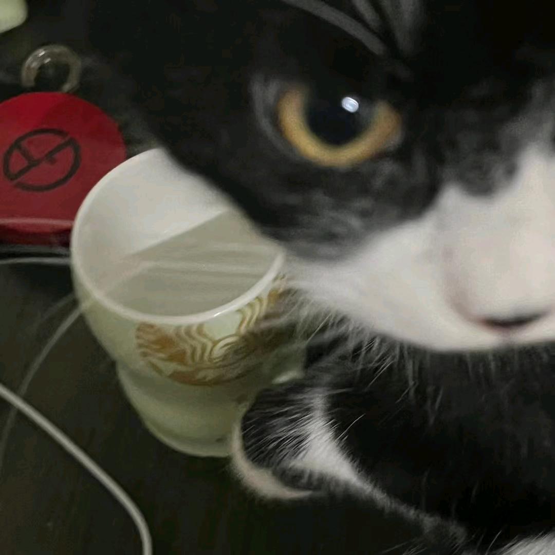 番茄纸巾🐟