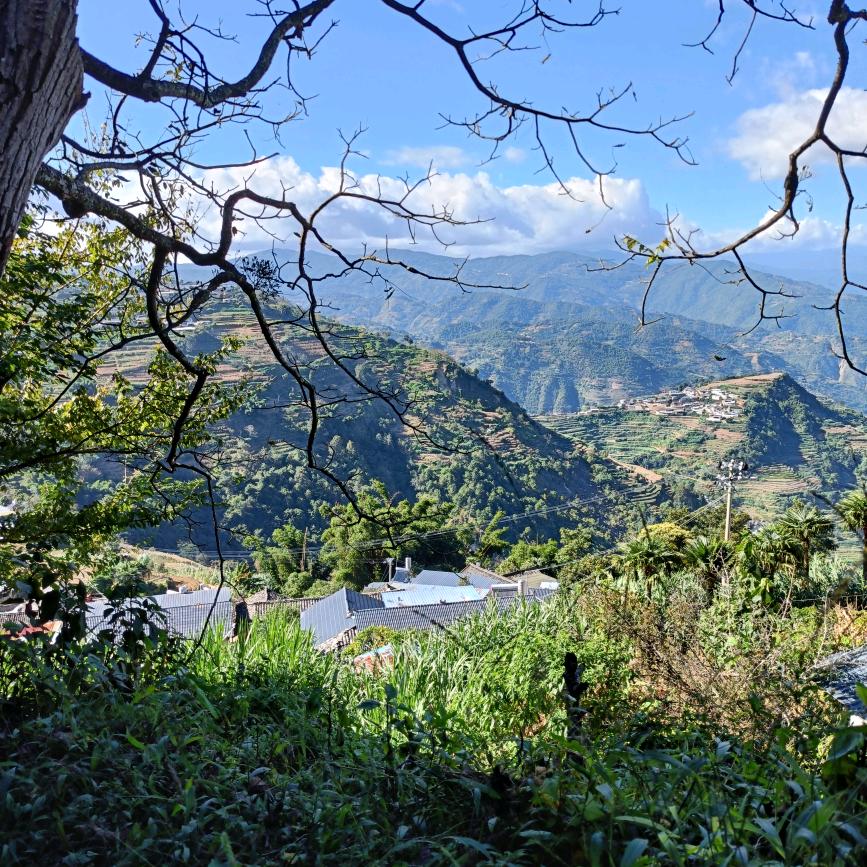 《记忆》《深刻》