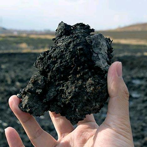 干煤泥孔先生，自家场地晾晒