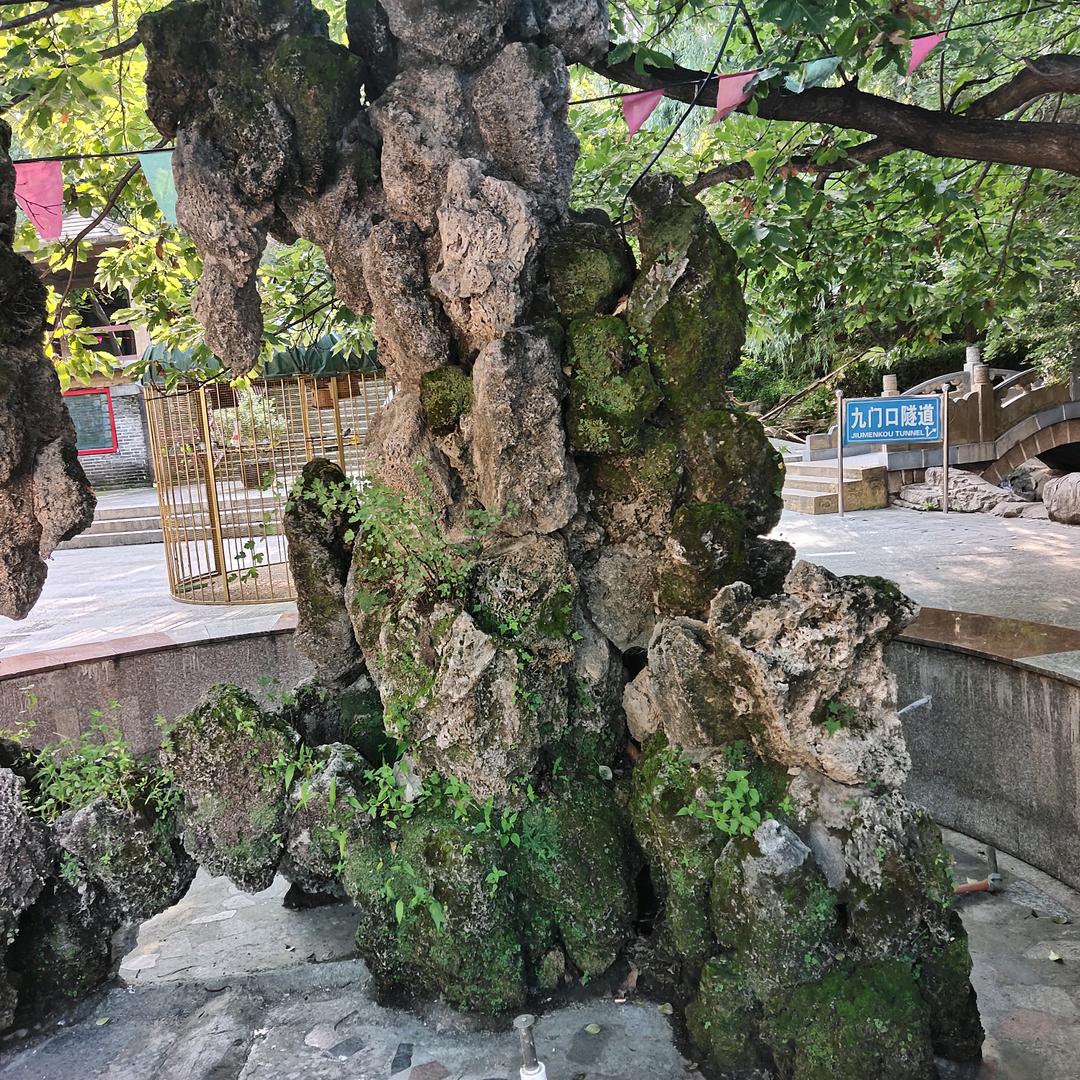 ，紫色的雾