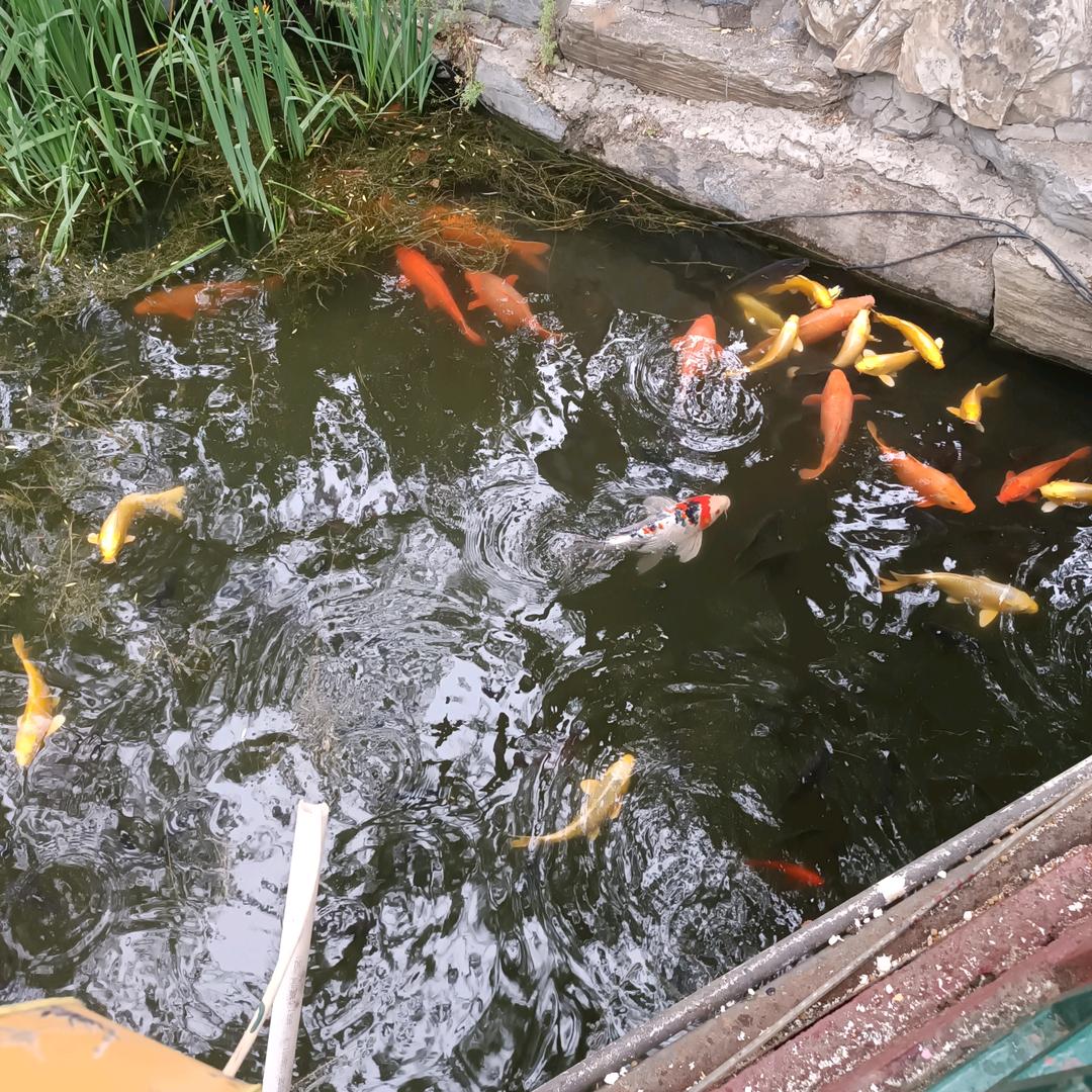 普六