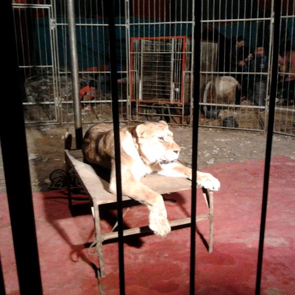 ᝰ顾北້໌ᮨړ࿐