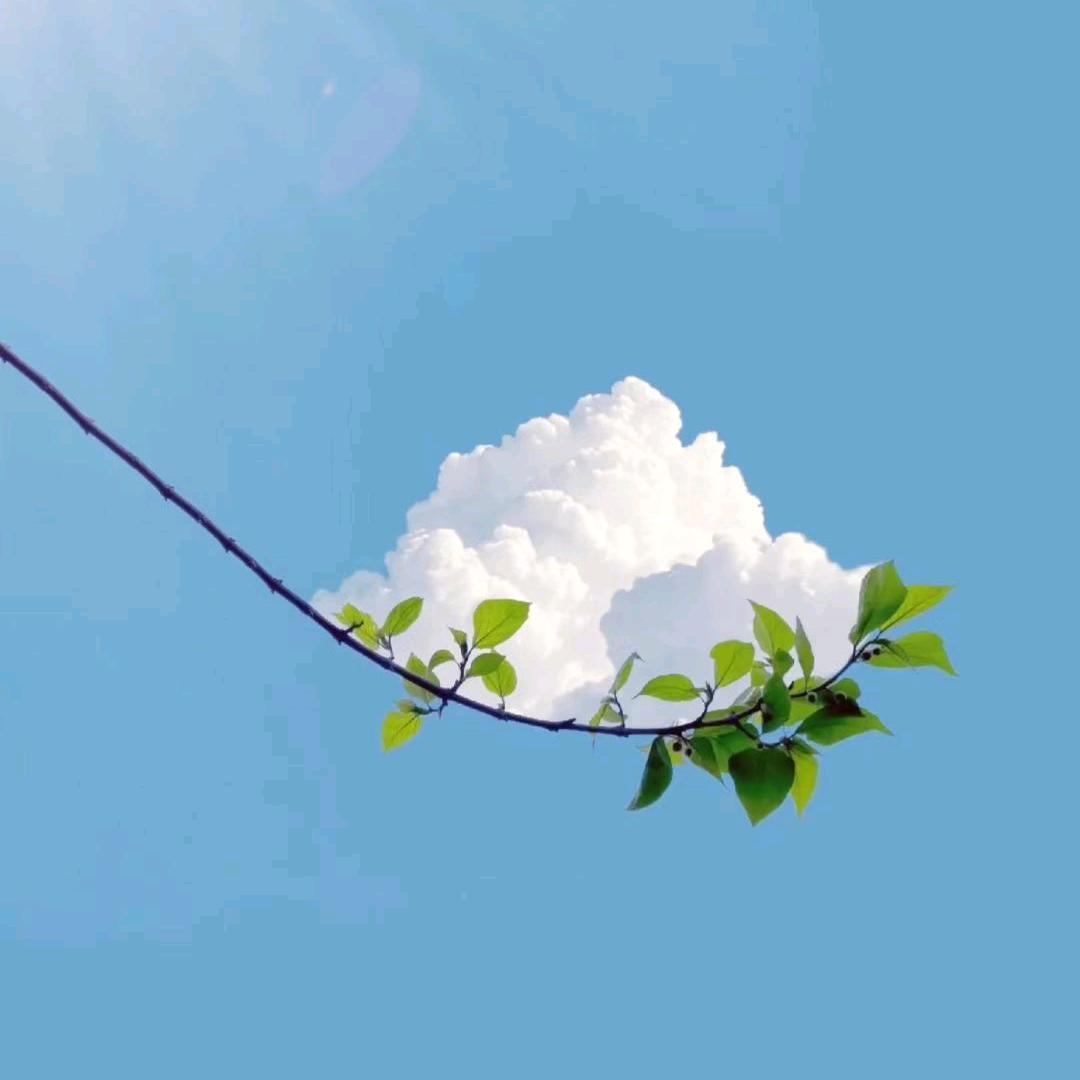 💞ꦿꦼ微雨᭄新晴💞꧔ꦿ🕊️