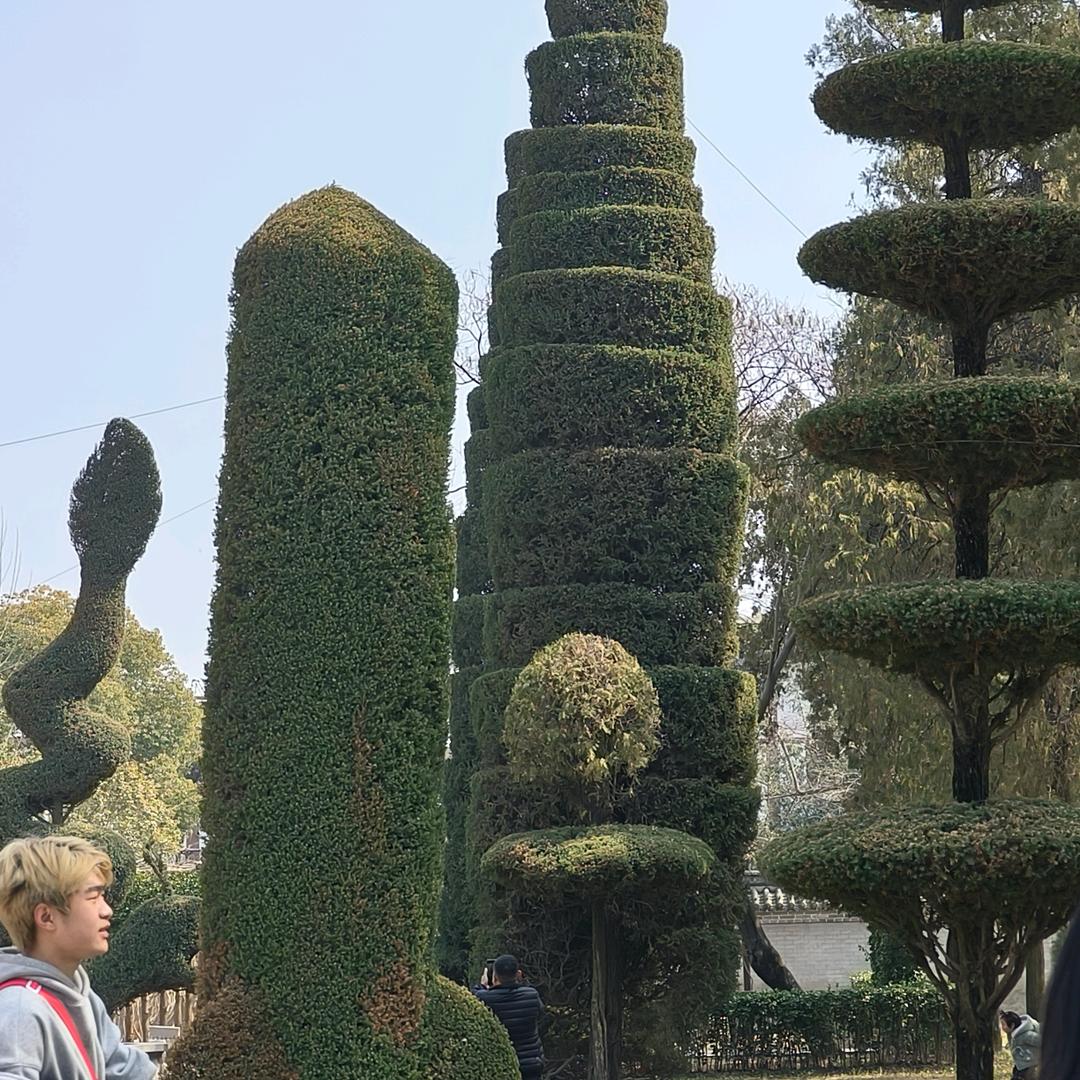 余生随心《拒闲聊》