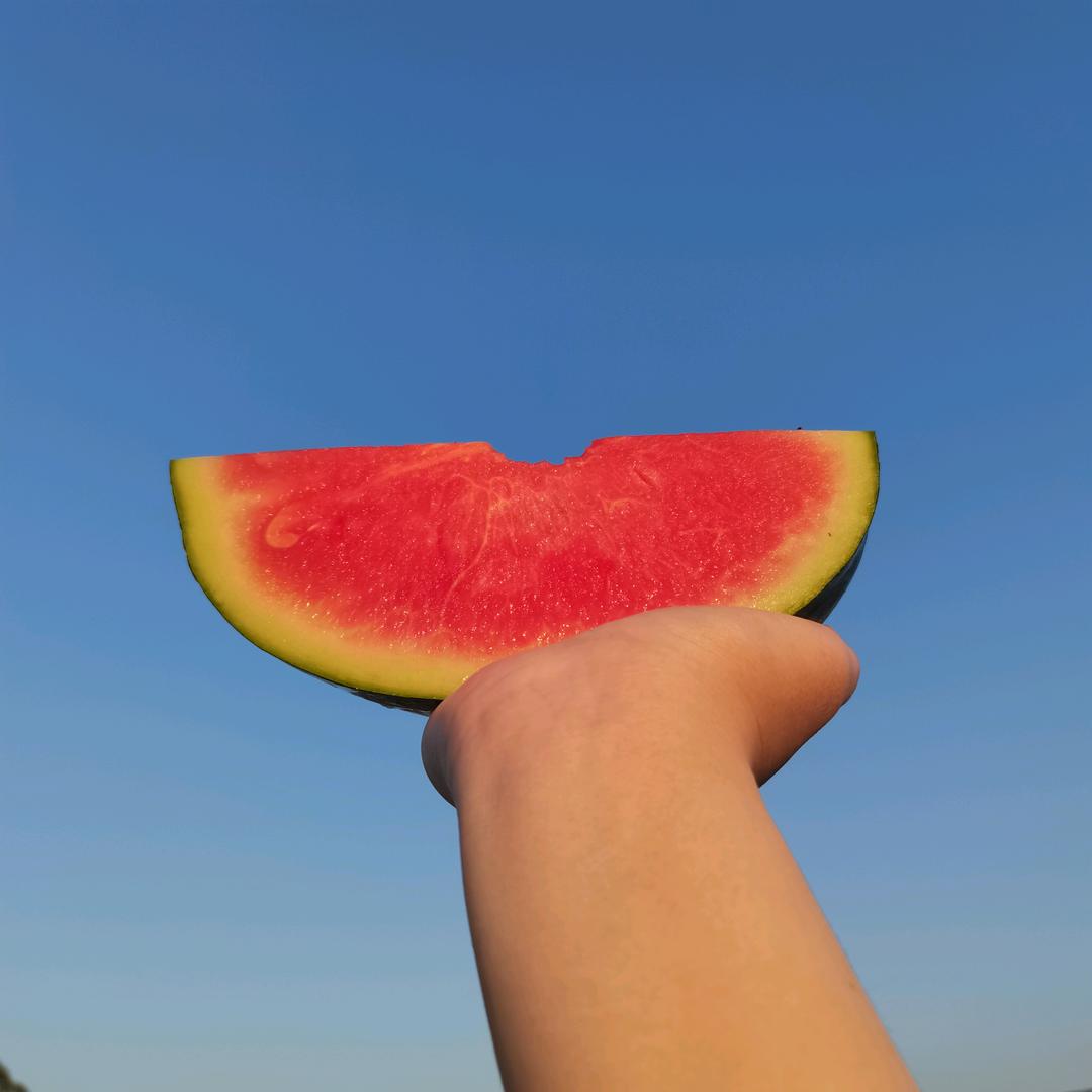 薇健次