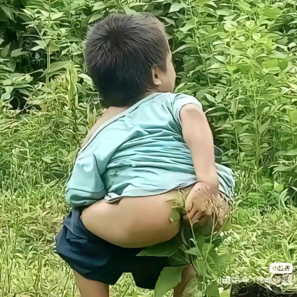 野猪不吃细糠