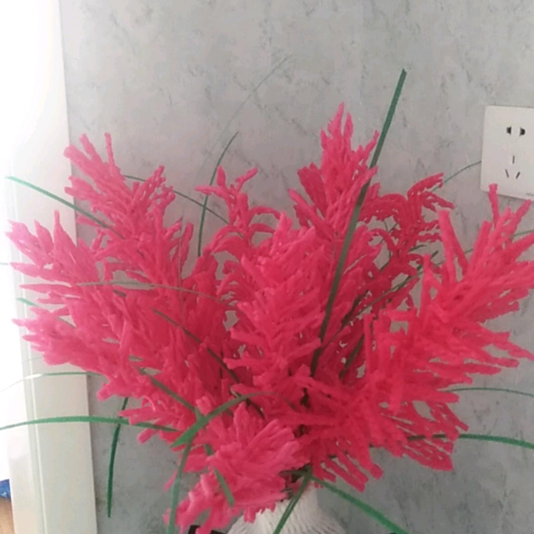 静心！净心！精心