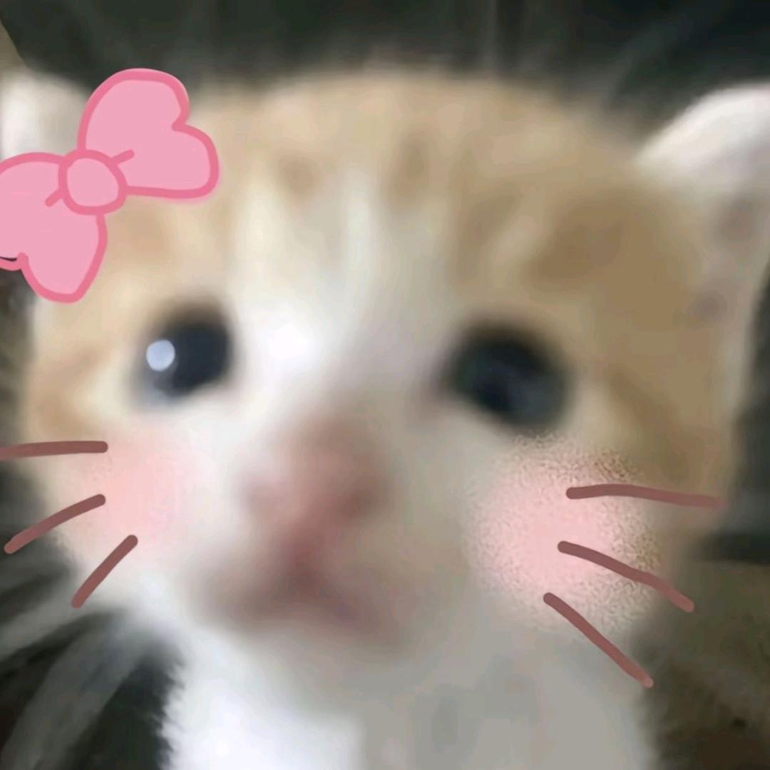 鱿鱼的猪妞