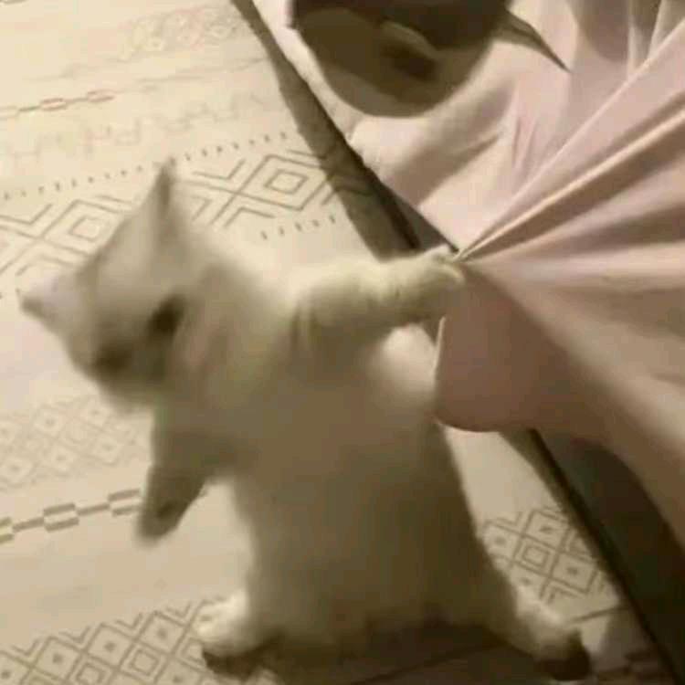 云