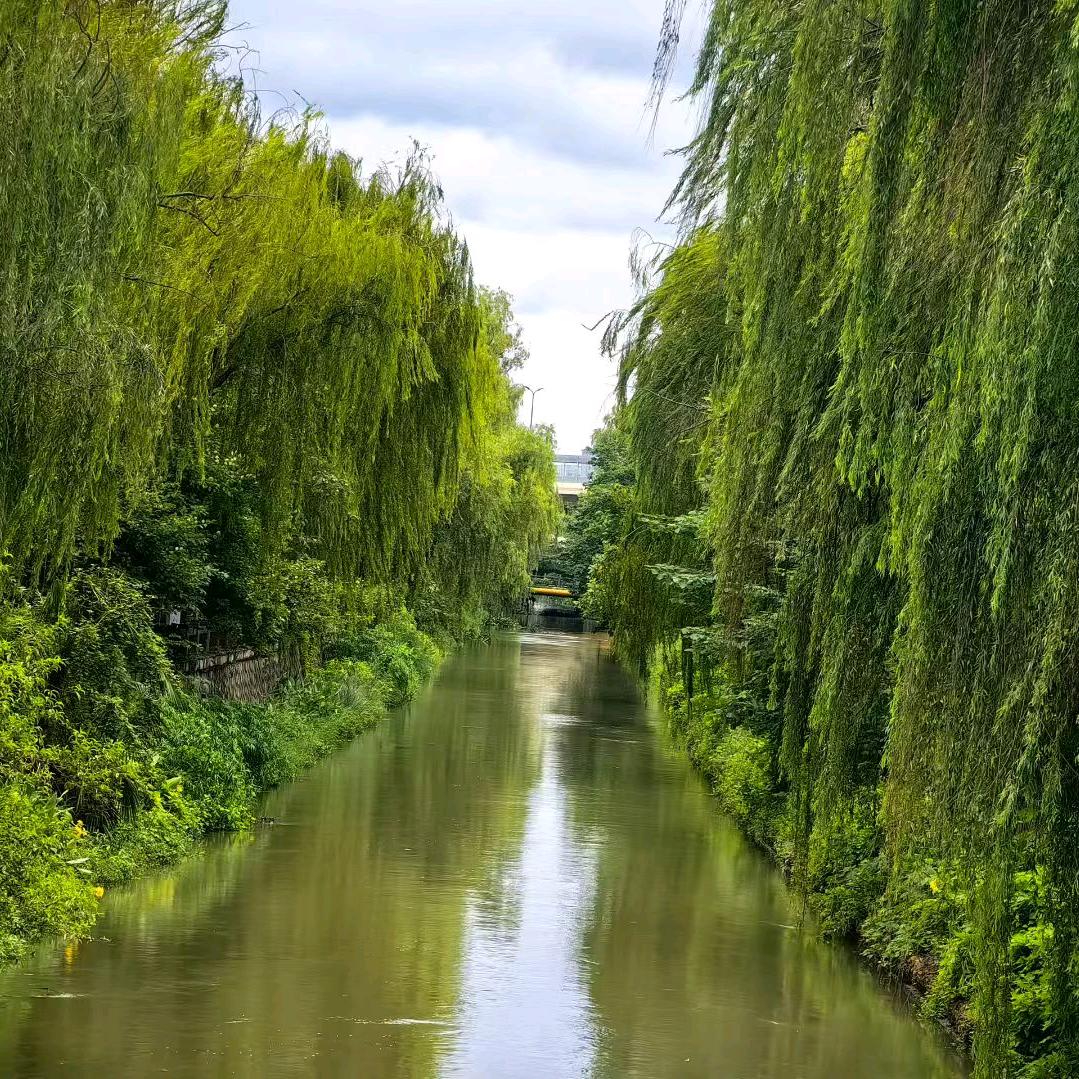 胜荷手工编织馆～🍊～
