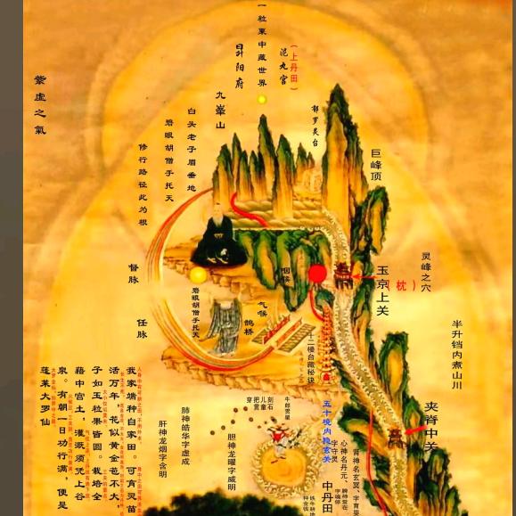 圆坨坨，光灼灼