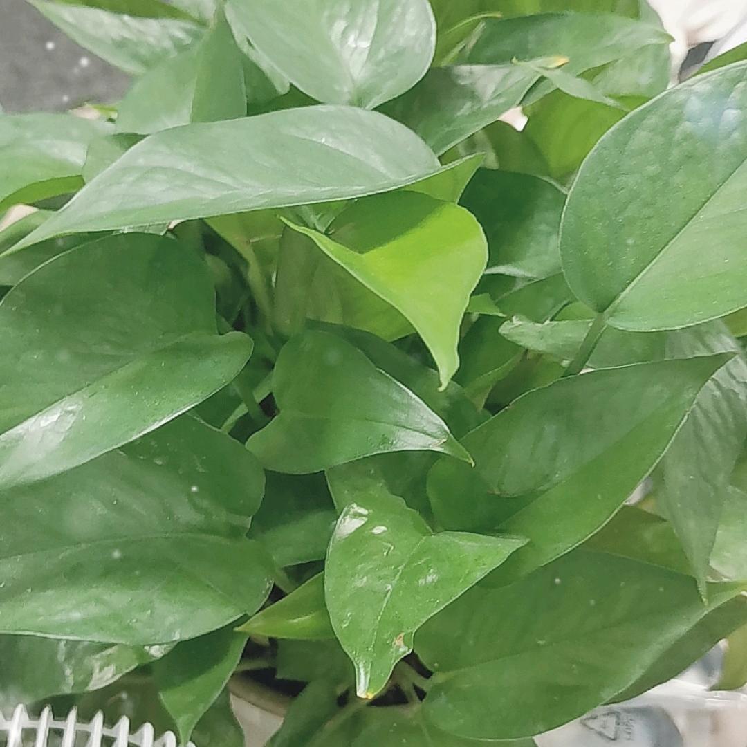 耀邦旭企业-程老师