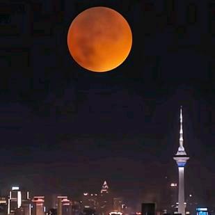 序77日常穿搭店