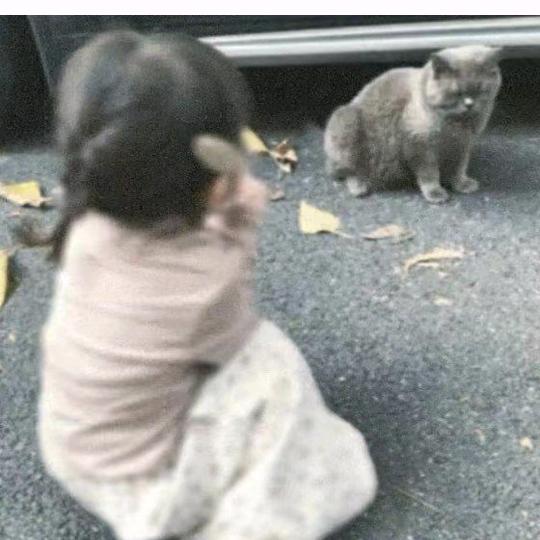 小乖.