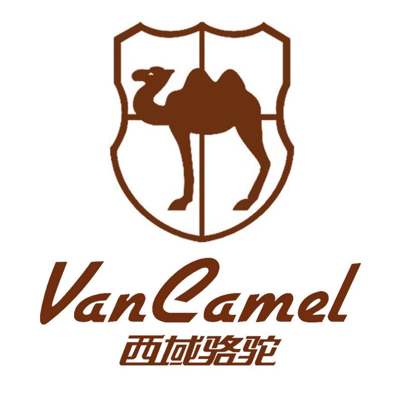 西域骆驼女装直播间