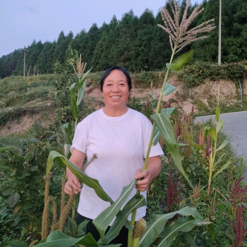 天天开心