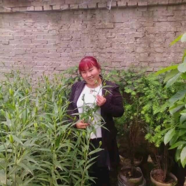 王梦