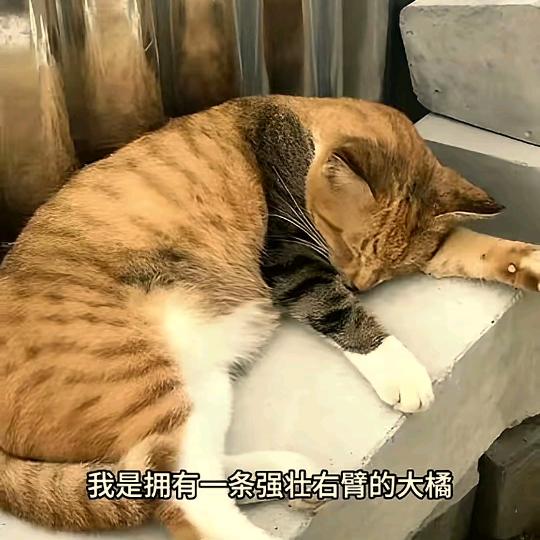 嗯，帮谢谢你滴滴答答