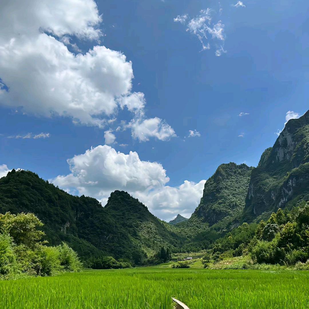男山难✔