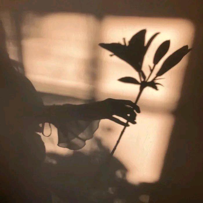 ❤️杯中烈🥂敬余生🧡