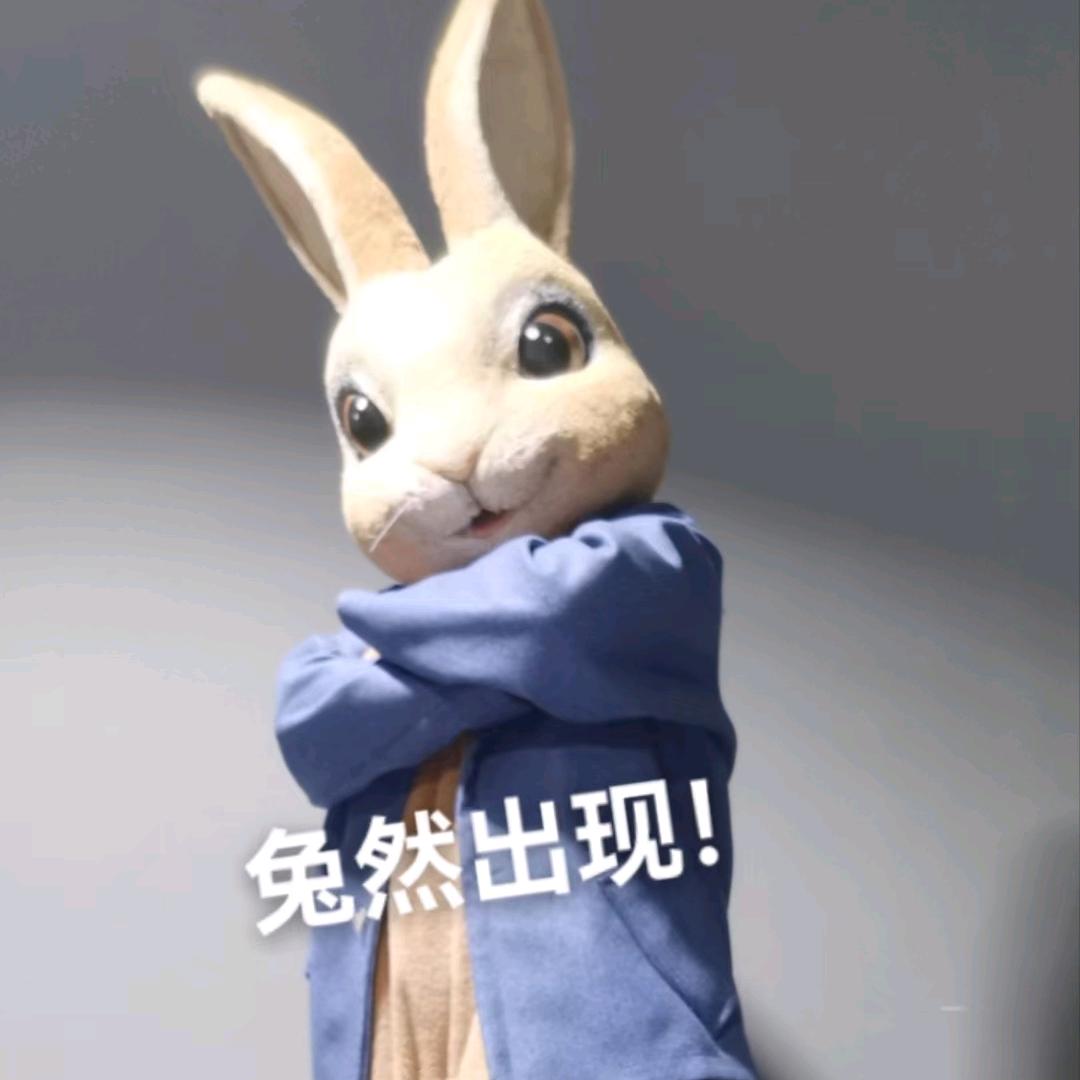 小培子姐姐