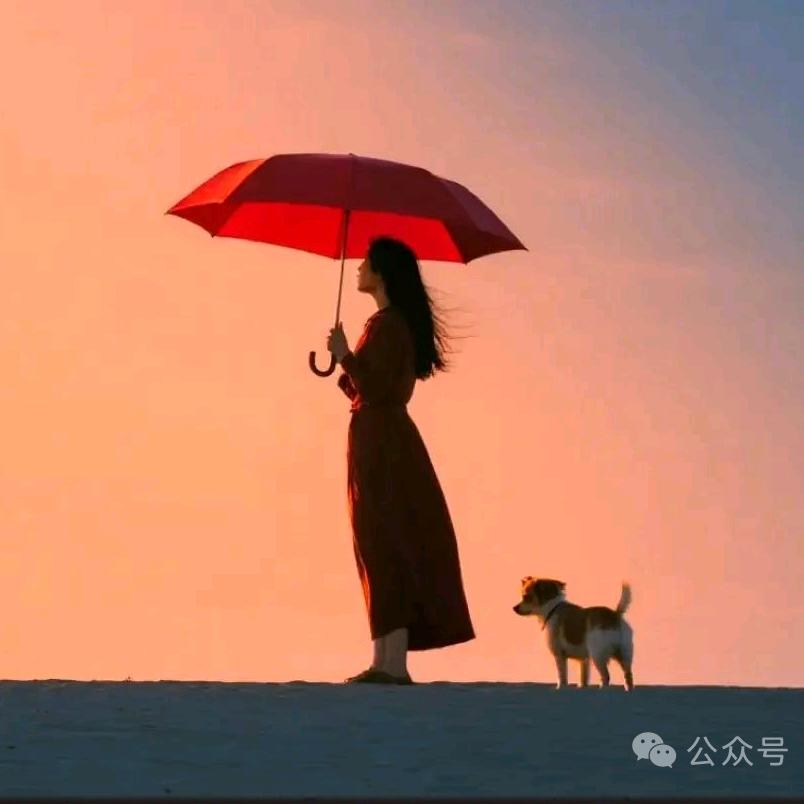 程小白