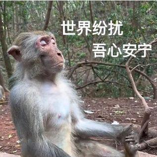 花果山的吗喽