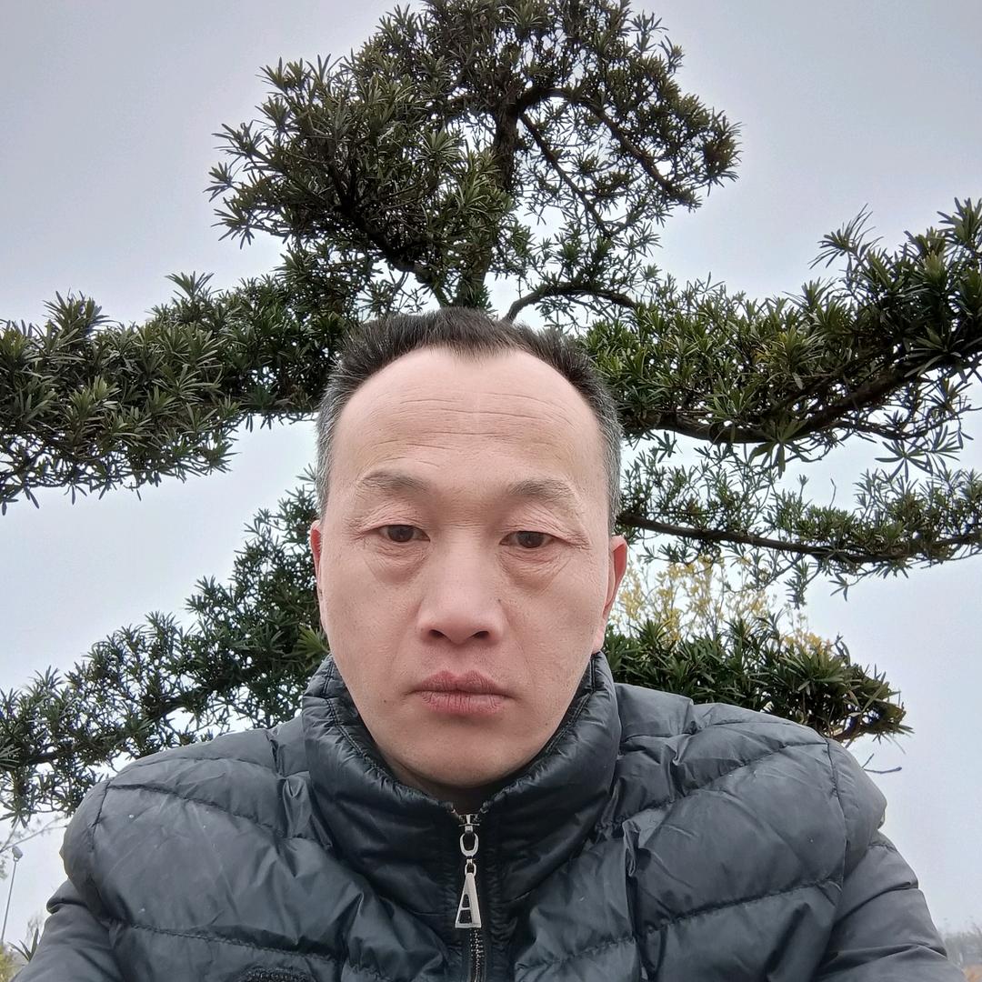 君临天下