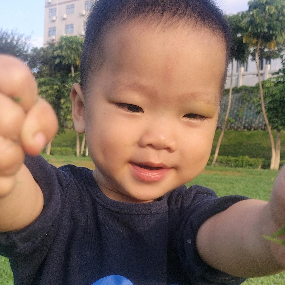 苏糖糖