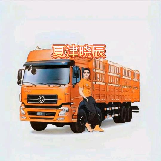 夏津晓辰