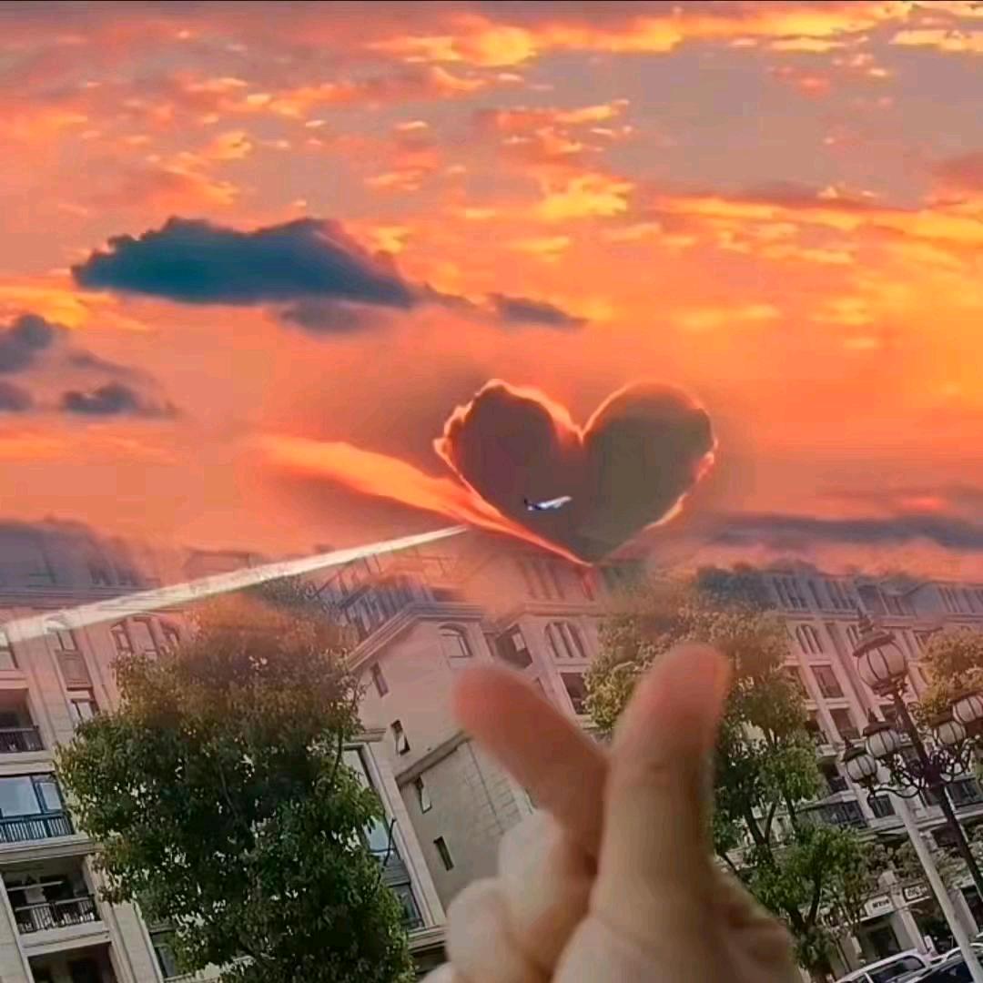 懒得起名～