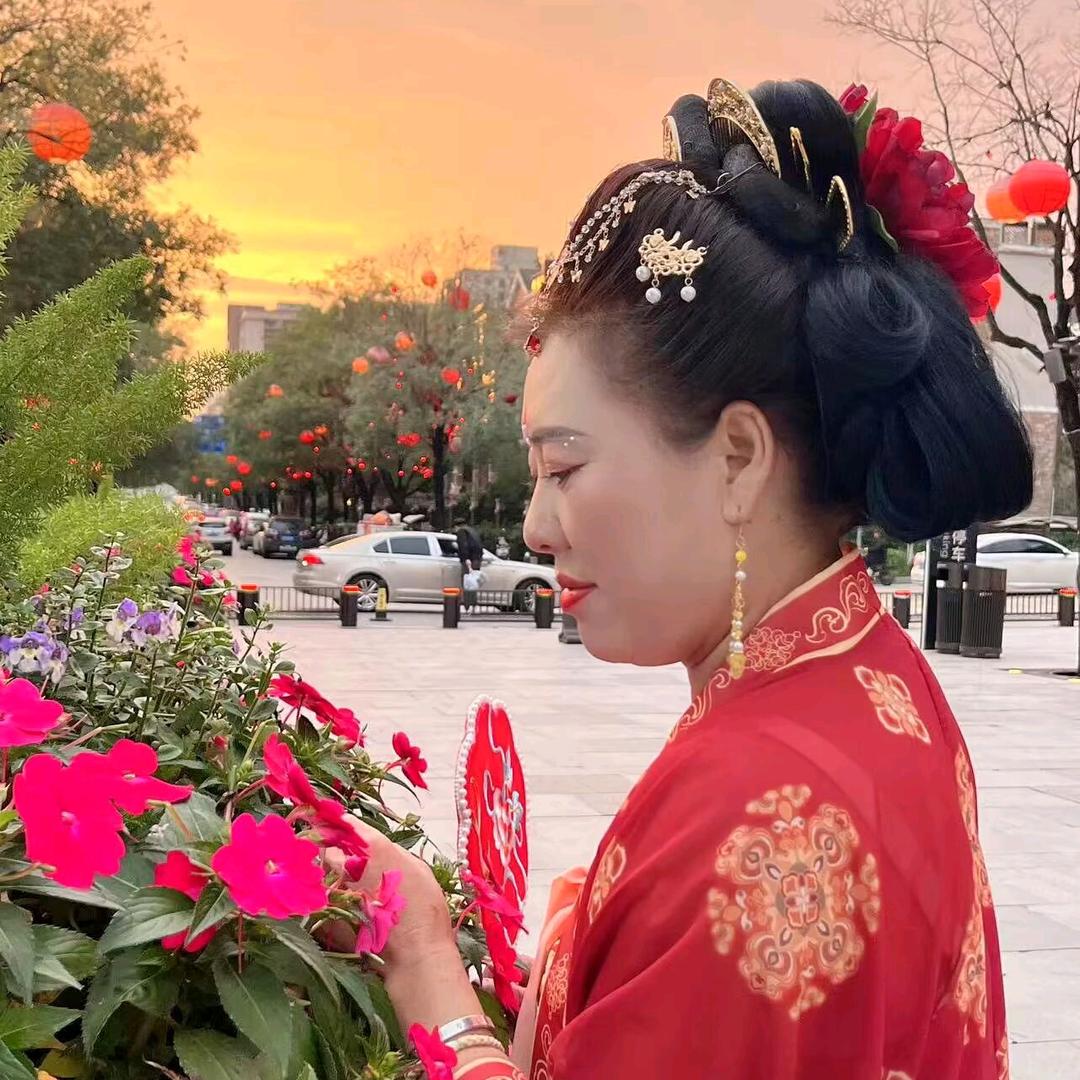 云中飞雁