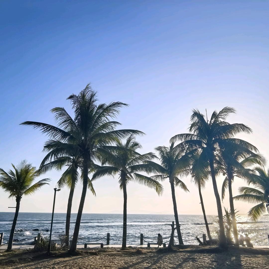 大雄说投放--驰景