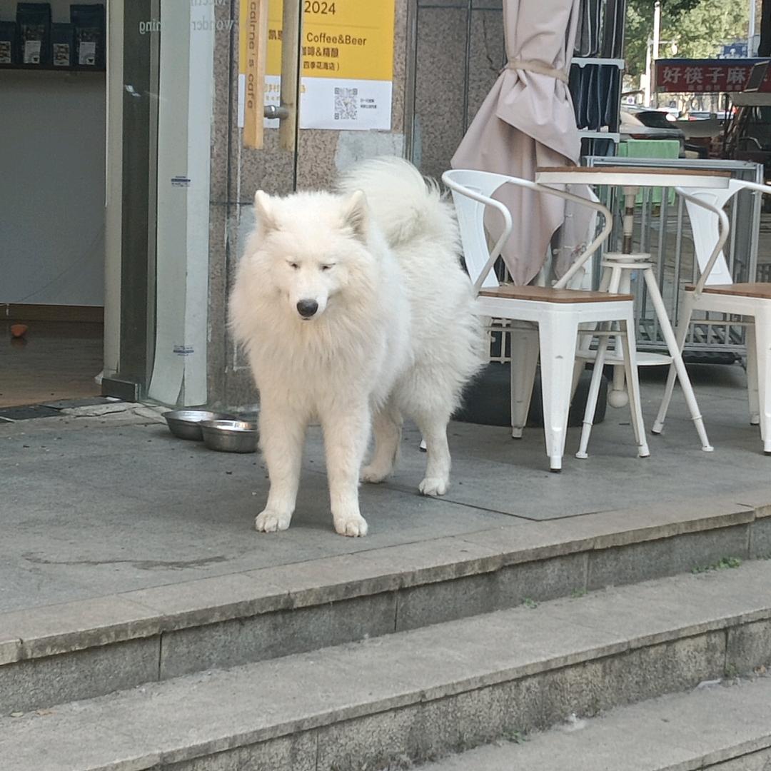 金闪闪