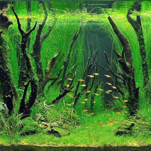 景德镇陶瓷内胆保温杯